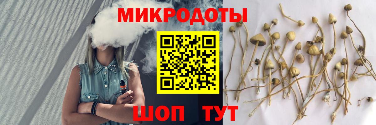 Королёв  Галлюциногенные грибы мицелий  Вход с VPN 