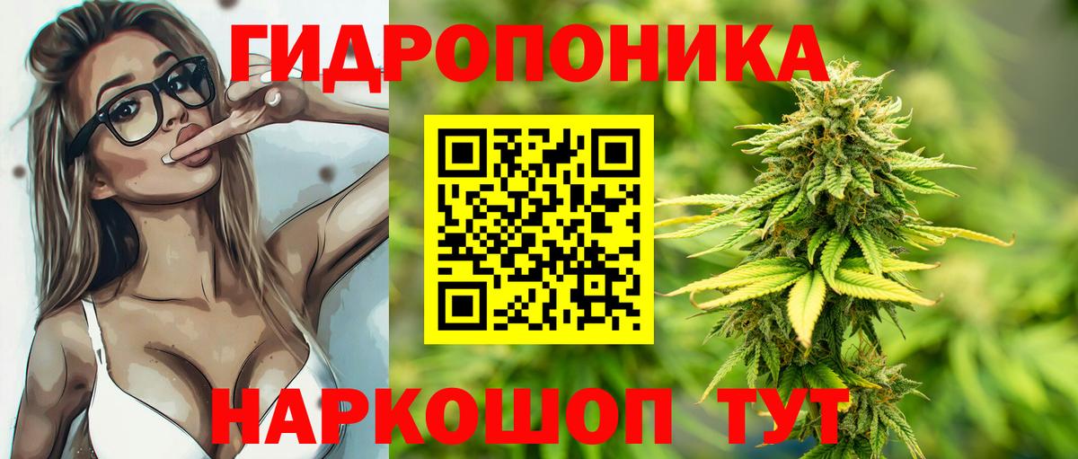 МАРИХУАНА ГИДРОПОН Королёв